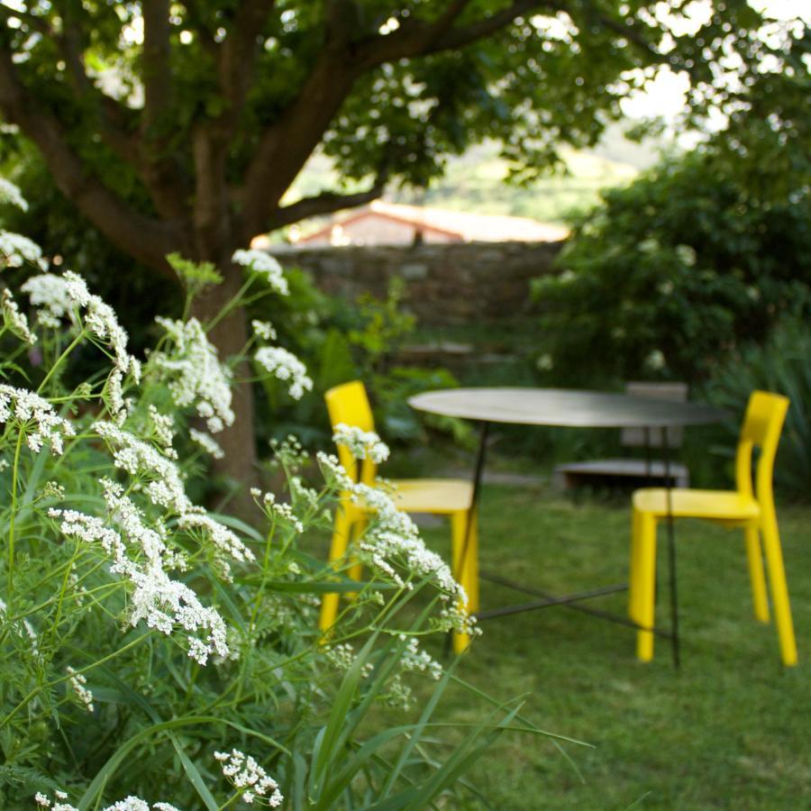 Cal Calsot Casa Rural "Adults Only" Montellá Extérieur photo